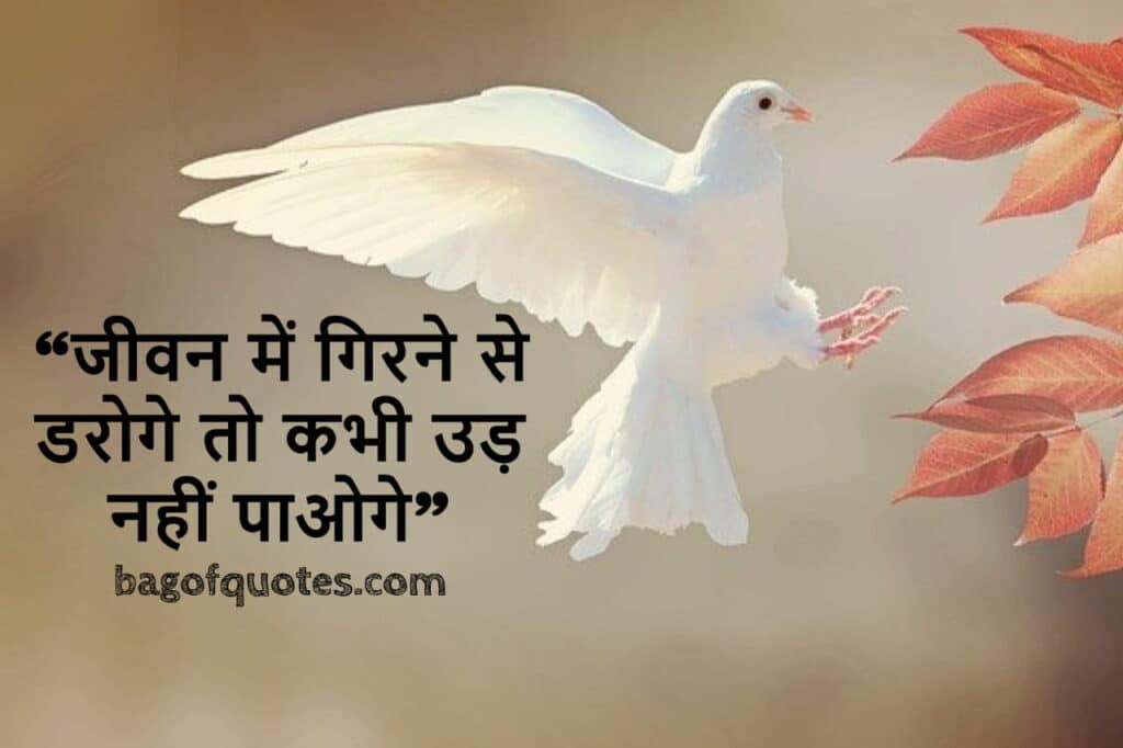 lifetime motivational quotes in hindi "जीवन में गिरने से डरोगे, तो कभी उड़ नहीं पाओगे"