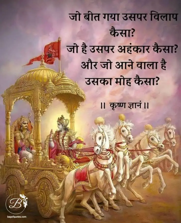 bhagavad gita quotes in hindi meaning, जो बीत गया उस पर दुख क्यों करना जो है उस पर अहंकार क्यों करना 