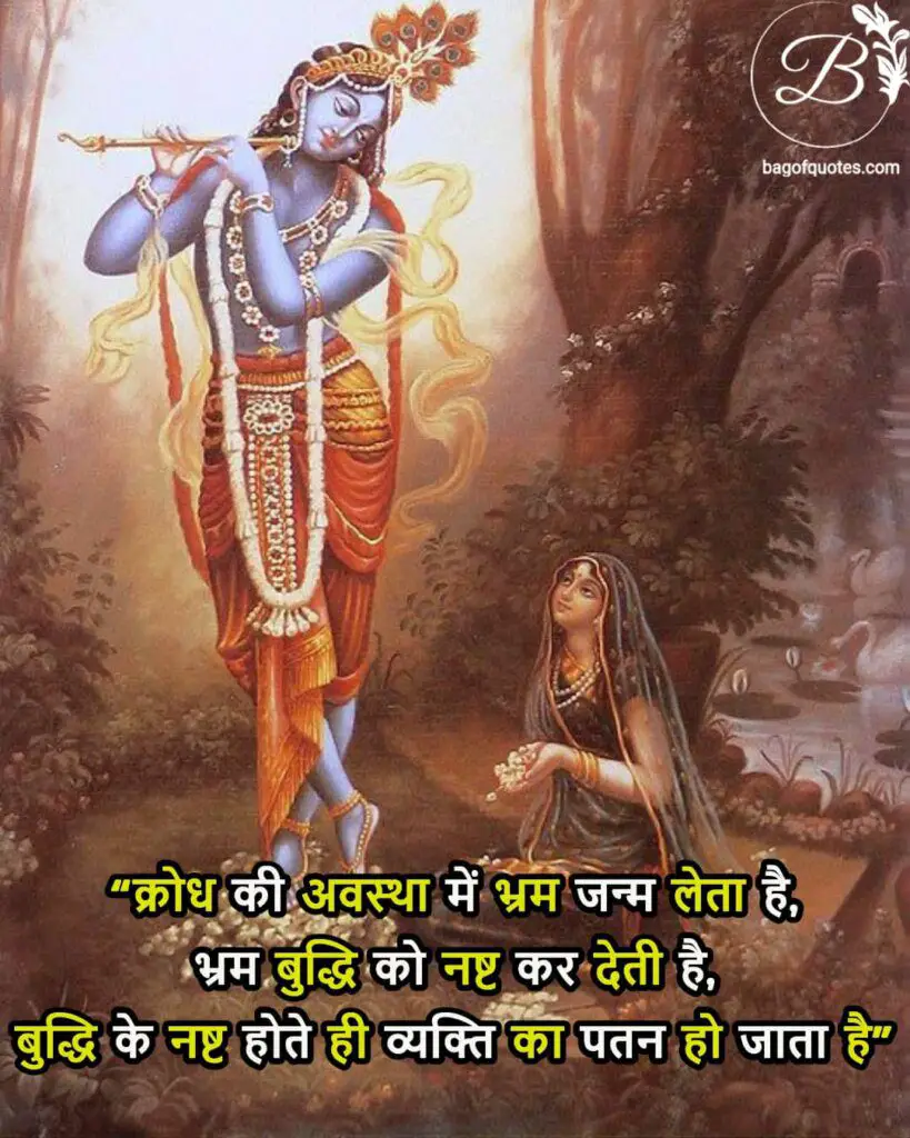 lord krishna quotes hindi text, क्रोध की अवस्था में भ्रम जन्म लेता है भ्रम बुद्धि को नष्ट कर देती है