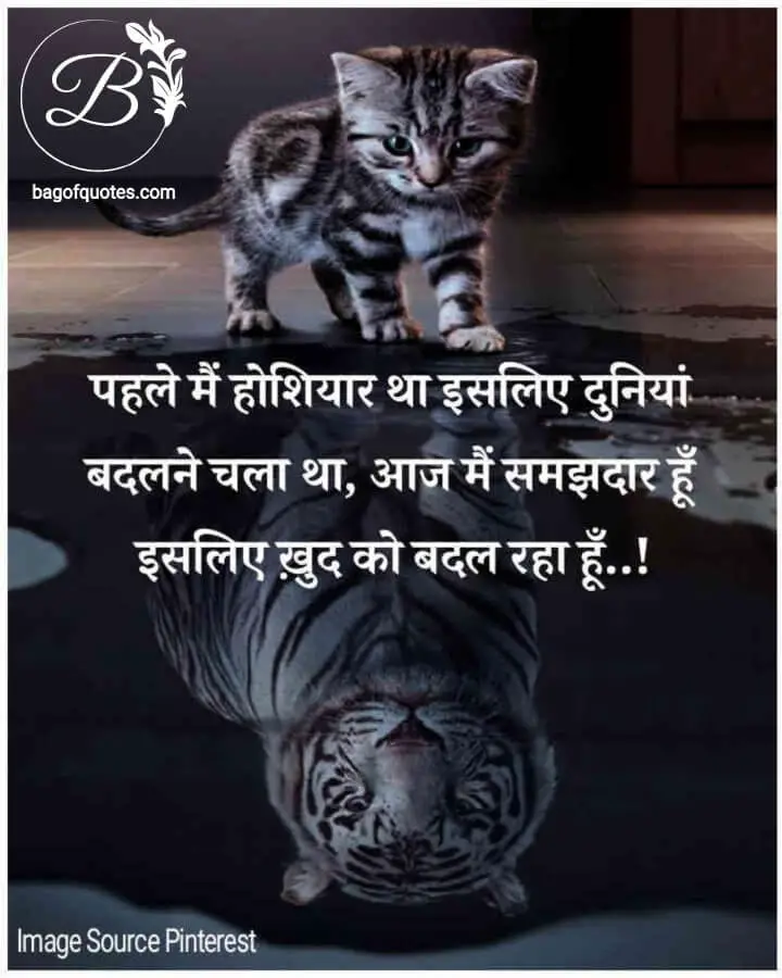 real life quotes in hindi for facebook, मुझे लगता था कि मैं होशियार हूं इसलिए मैं दुनिया को बदलने के लिए चला था